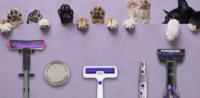 BLACK+DECKER pet vacuums
