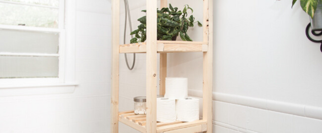 Shelf with toilet paper and a plant in corner of a bathroom