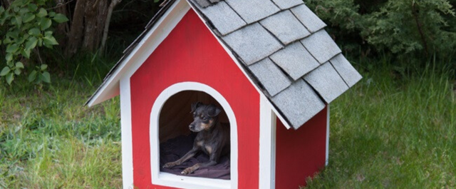 Red dog house with a small dog laying inside