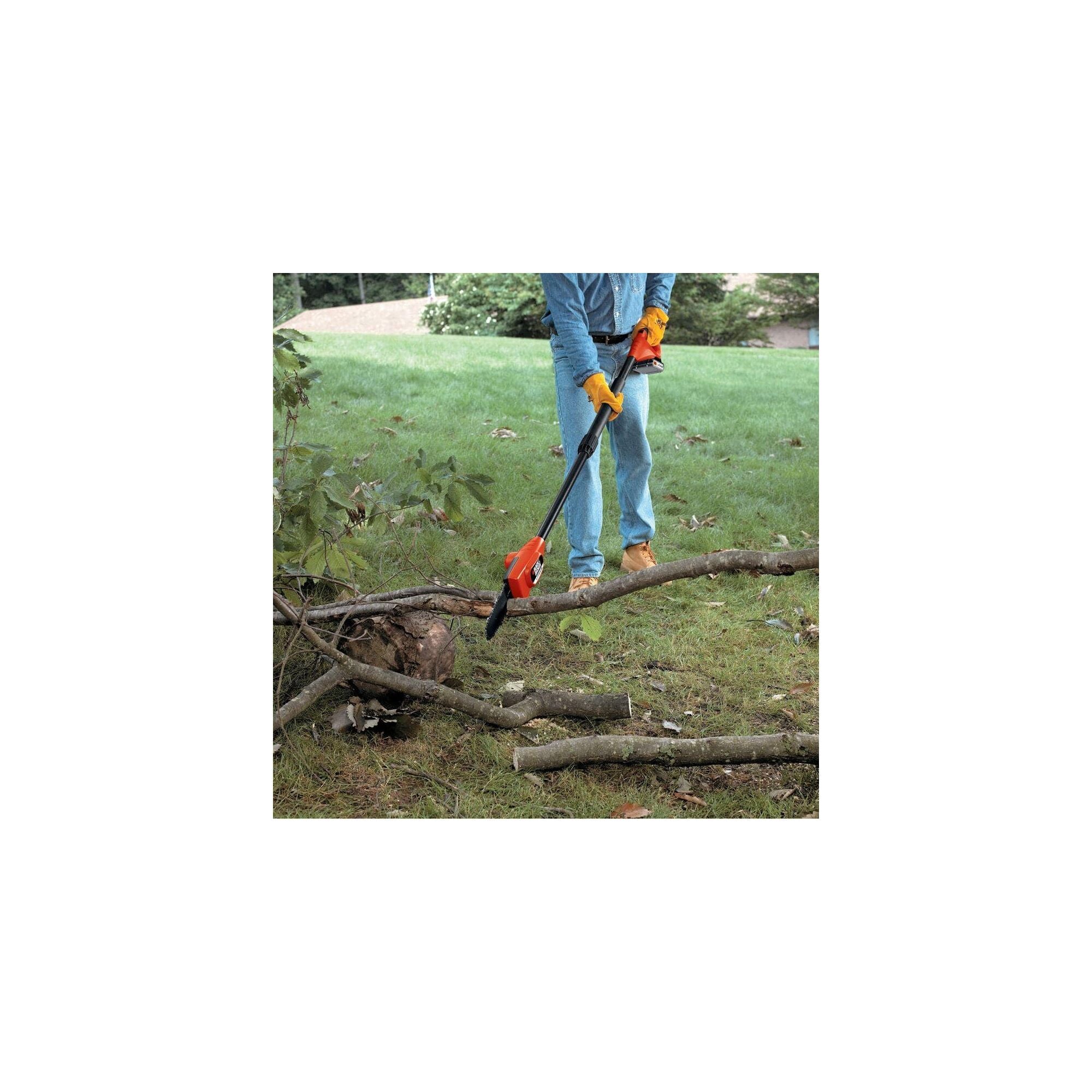 20V Max* Pole Saw, 8-Inch, Cordless