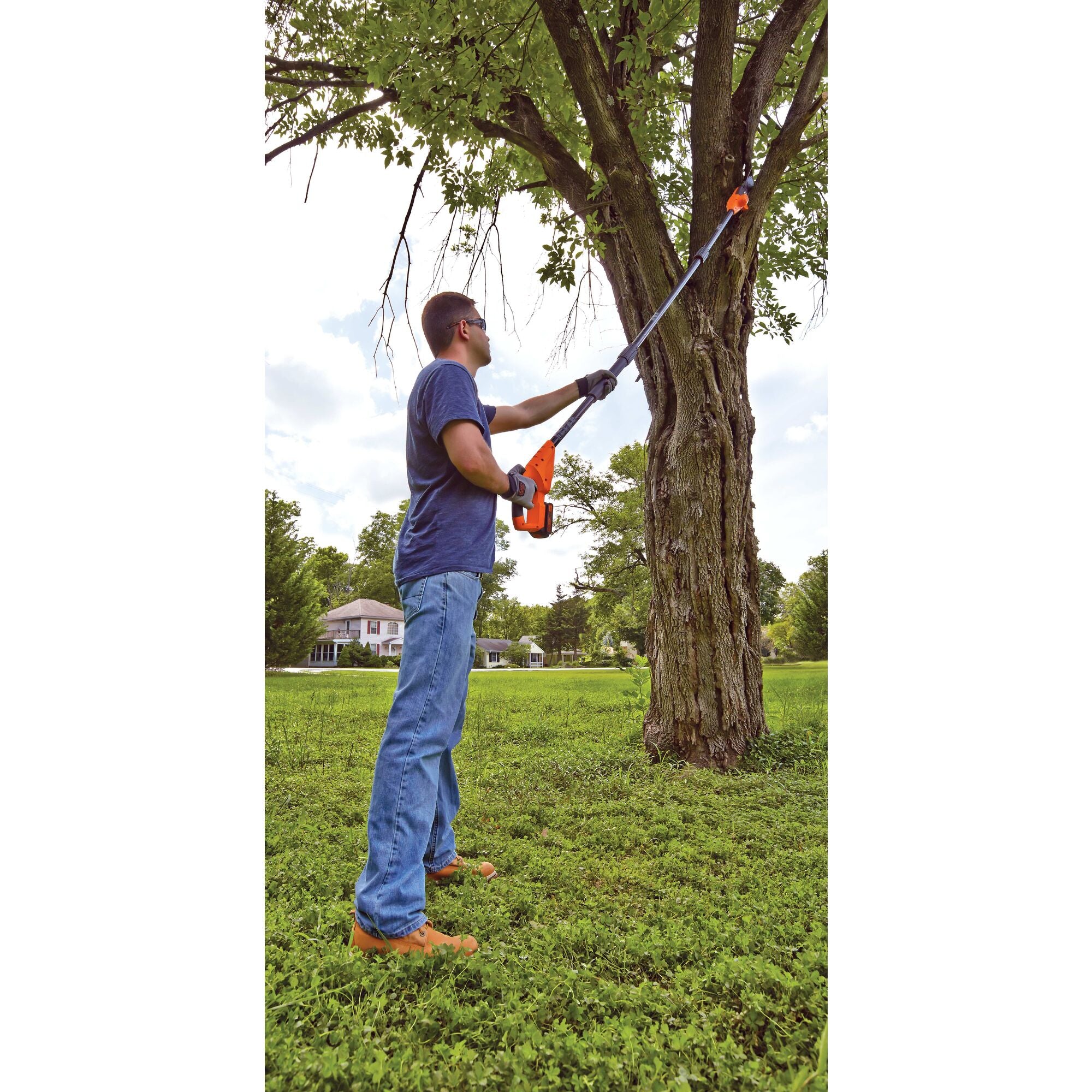 Cordless 20V 10' Pruning Tree Trimming Saw by Black+Decker Review 