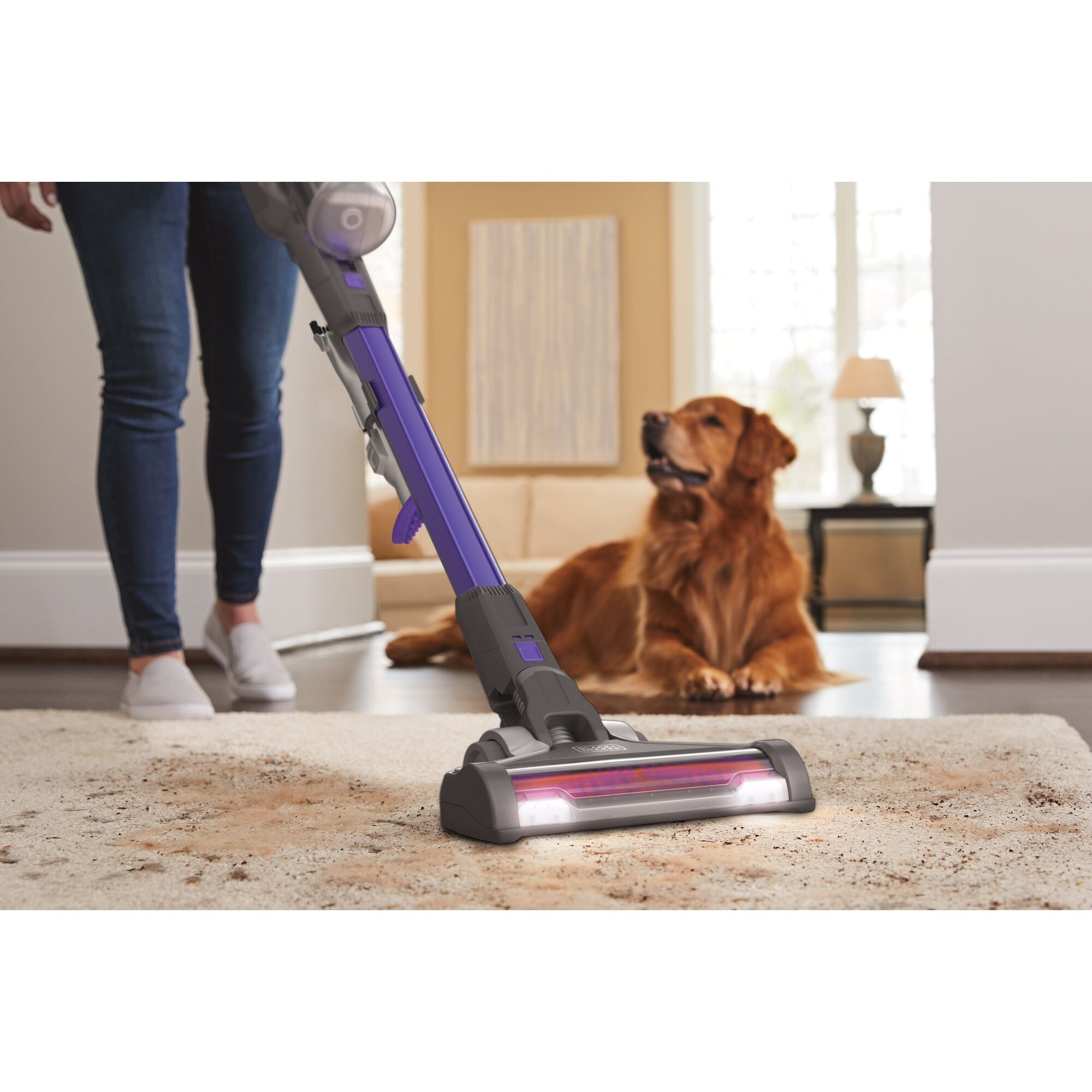 Black And Decker Powerseries Extreme 20V Max Cordless Pet Stick