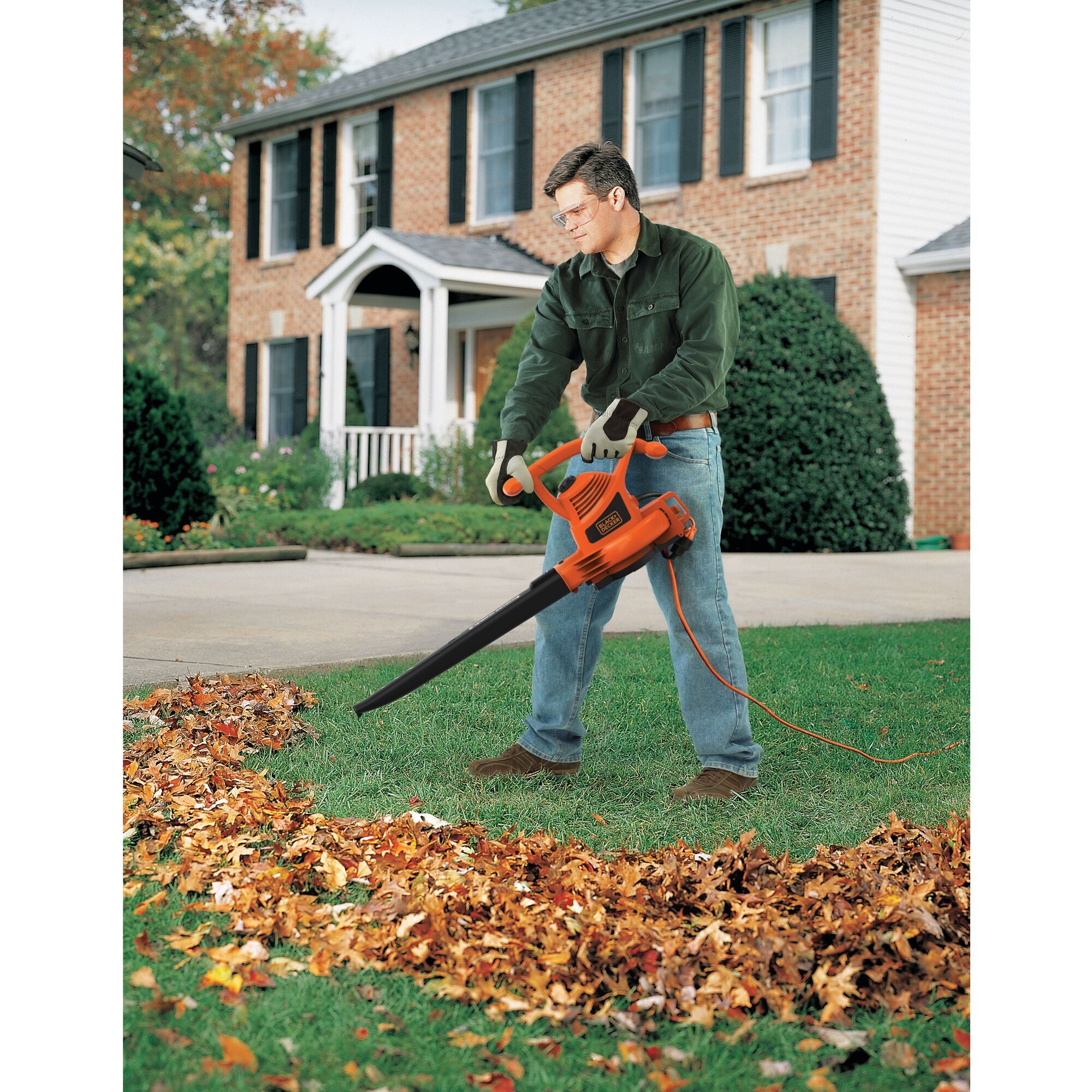 Black + Decker Leaf Blower & Mulcher 