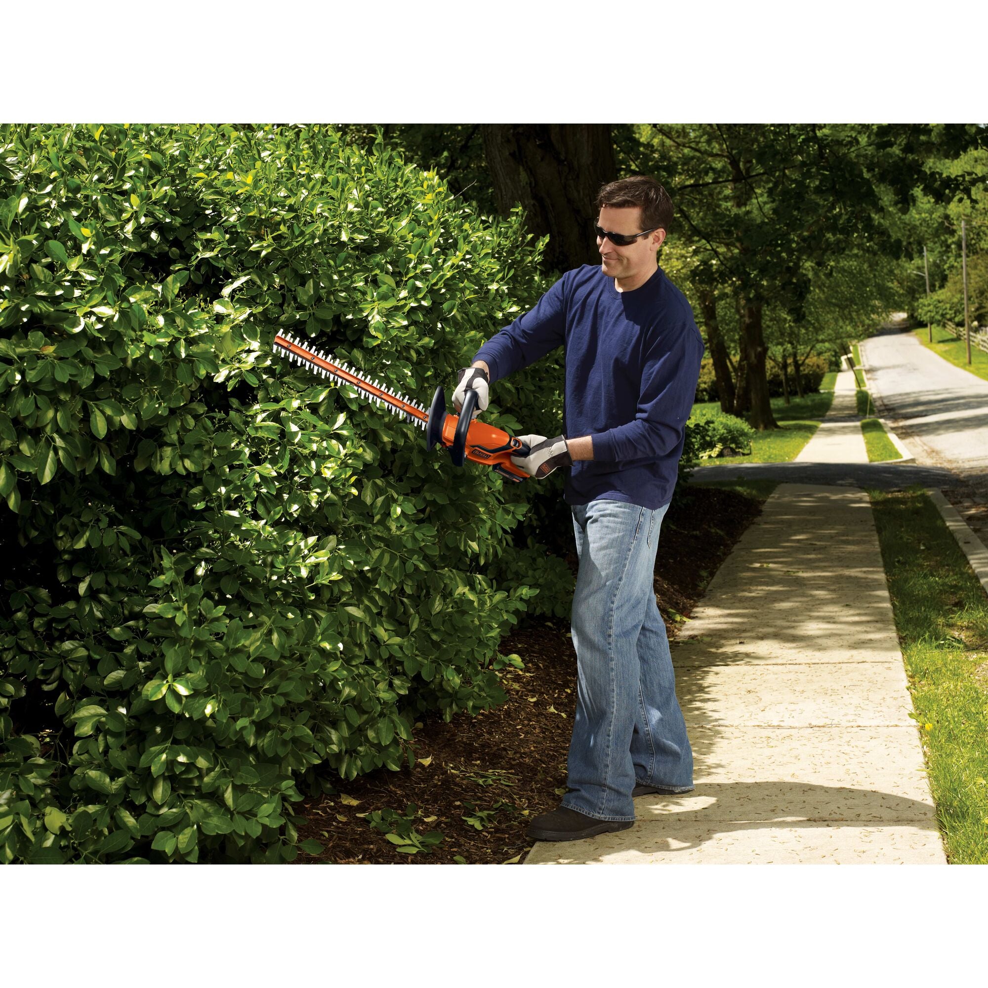  BLACK+DECKER 20V MAX Cordless Hedge Trimmer, 22-Inch with  Extra 4-Ah Lithium Ion Battery Pack (LHT321FF & LB2X4020) : Patio, Lawn &  Garden